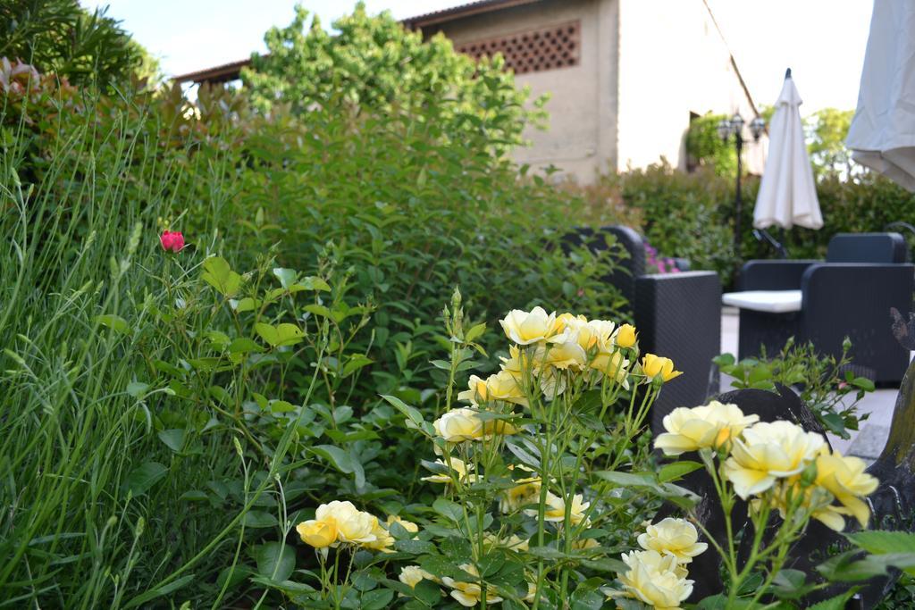 Residence Ca Di Capri Bussolengo Zewnętrze zdjęcie